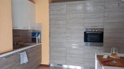 Comfy 3 bedroom apartment close to University of Parma - Gallery - 12