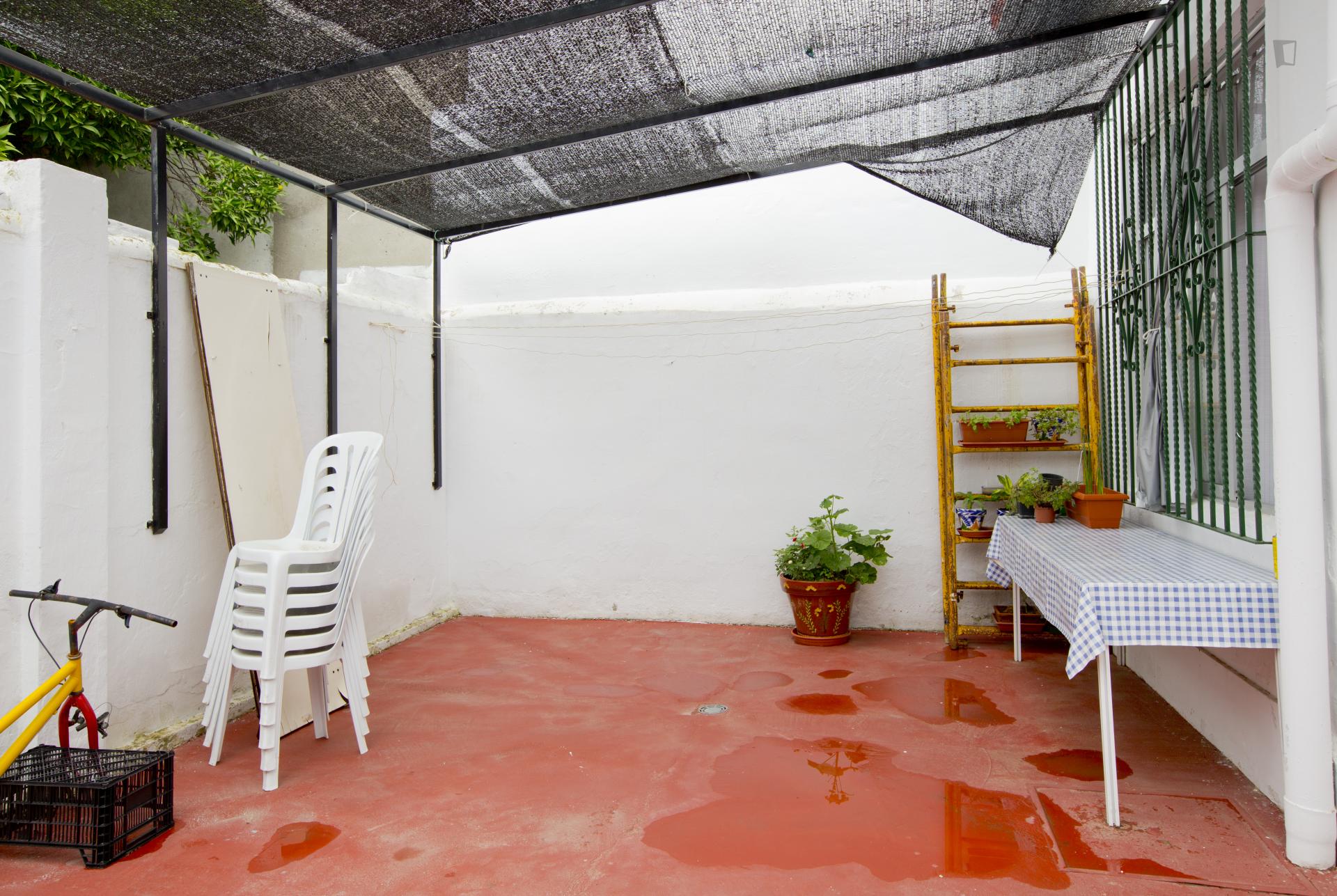 Cosy single bedroom in the Macarena neighbourhood