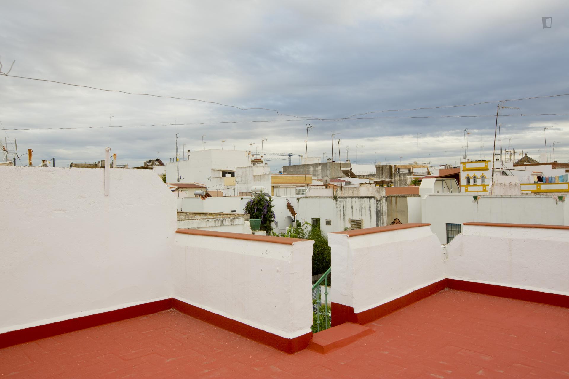Cosy single bedroom in the Macarena neighbourhood