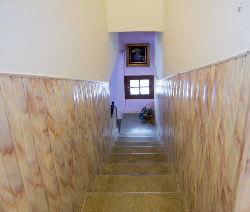 Cosy single bedroom in the Macarena neighbourhood