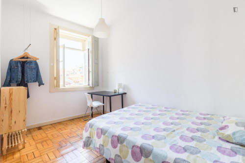 Cosy single bedroom in Cedofeita