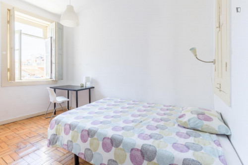 Cosy single bedroom in Cedofeita
