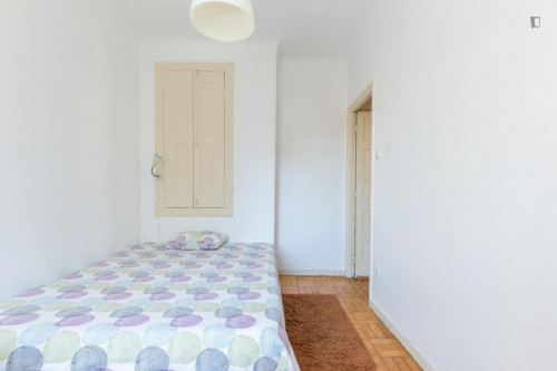Cosy single bedroom in Cedofeita