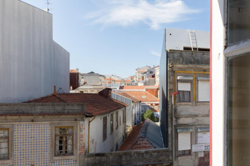 Cosy single bedroom in Cedofeita