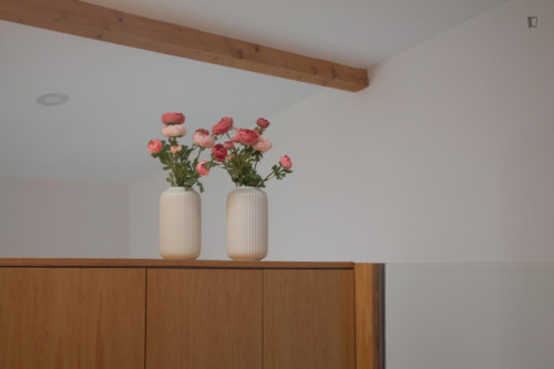Bright 1-bedroom house, with an outdoor area
