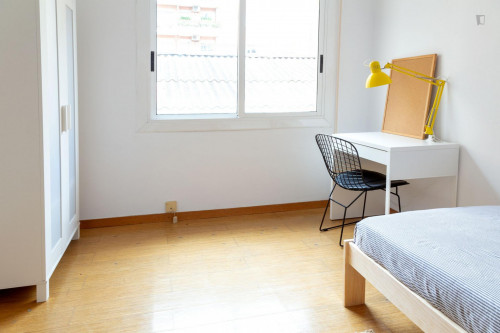 Single bedroom in 3-bedroom apartment