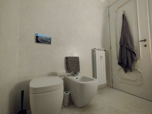 San Lorenzo Home - Gallery - 9