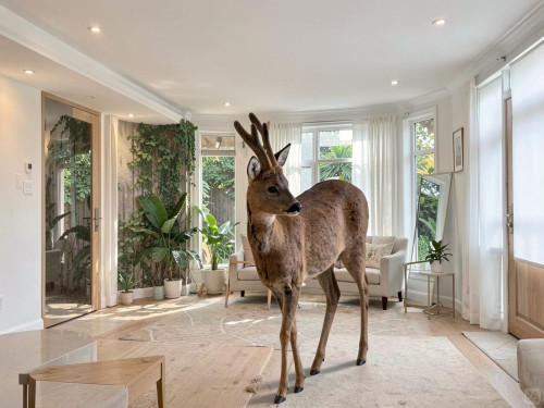 Langeais Home - Gallery - 88