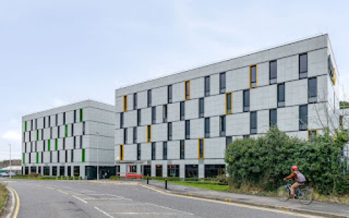 True Swansea - Gallery - 12