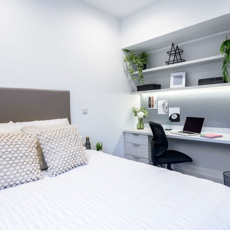  True Apartment - 5 Bed Apartment  -  True Swansea  - Gallery -  4