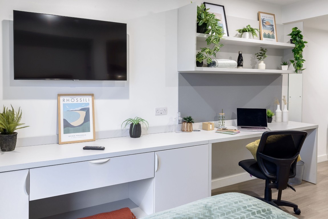  True Studio  -  True Swansea  - Gallery -  5