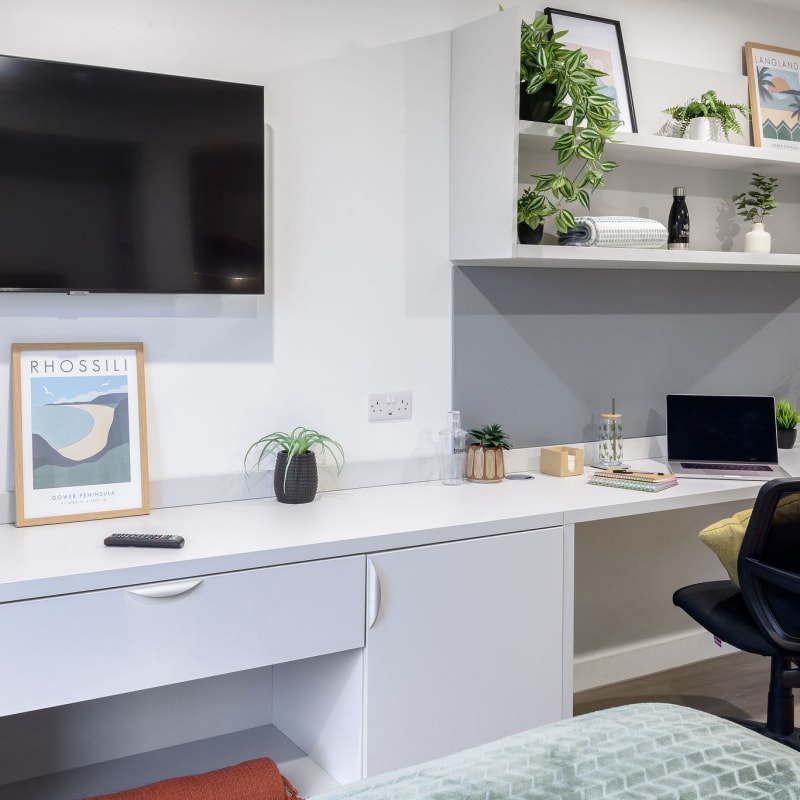  True Studio  -  True Swansea  - Gallery -  10