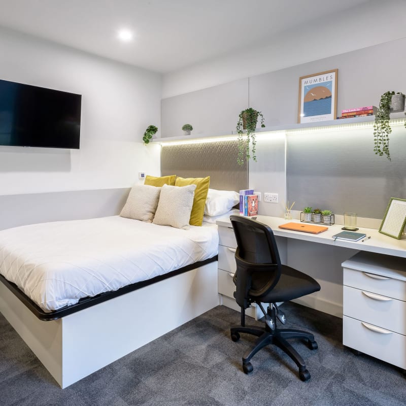  True Accessible Studio  -  True Swansea  - Gallery -  1