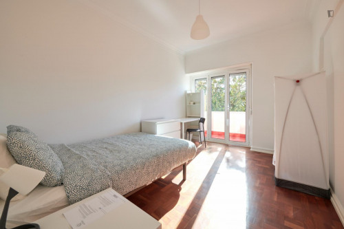 Sunny double bedroom in an 11-bedroom flat, in Entrecampos