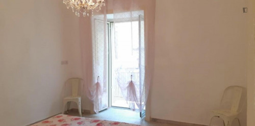 Comfy Apartment in the city center