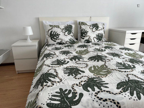 Bright double bedroom in a 4-bedroom apartment, in Trofa