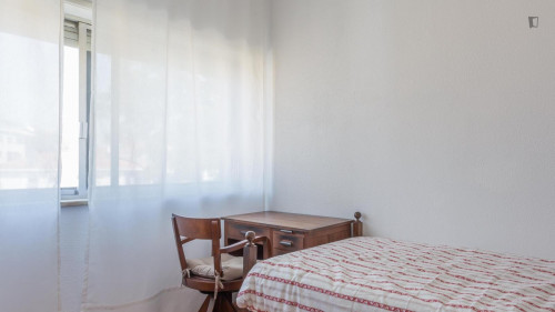 Single Room Lulu
