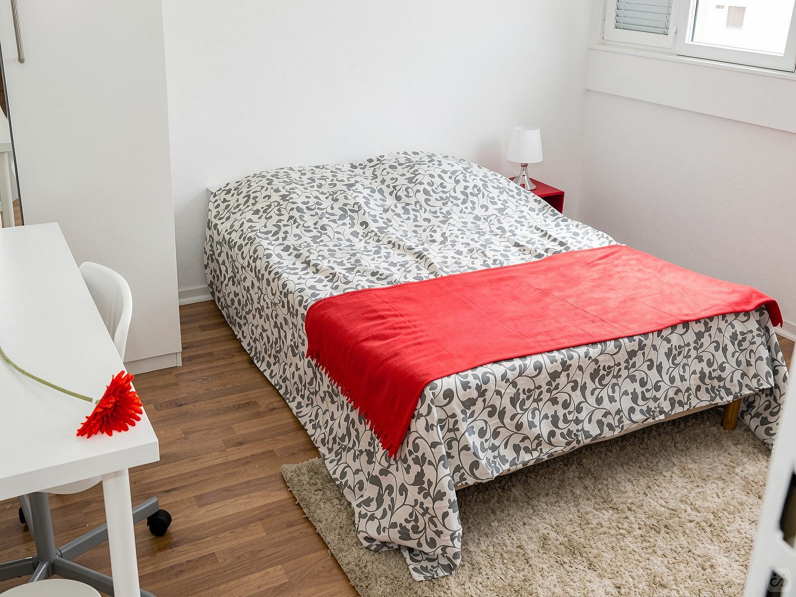  Cosy And Luminous Room - 12m² - ST16  -  Large apartment ideally located in the student district of Strasbourg  - Gallery -  6