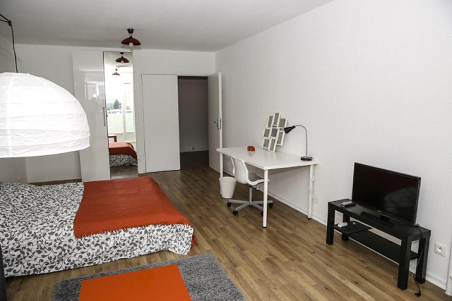  Spacious Luminous Bedroom - 24m² - ST13  -  Large apartment ideally located in the student district of Strasbourg  - Gallery -  16