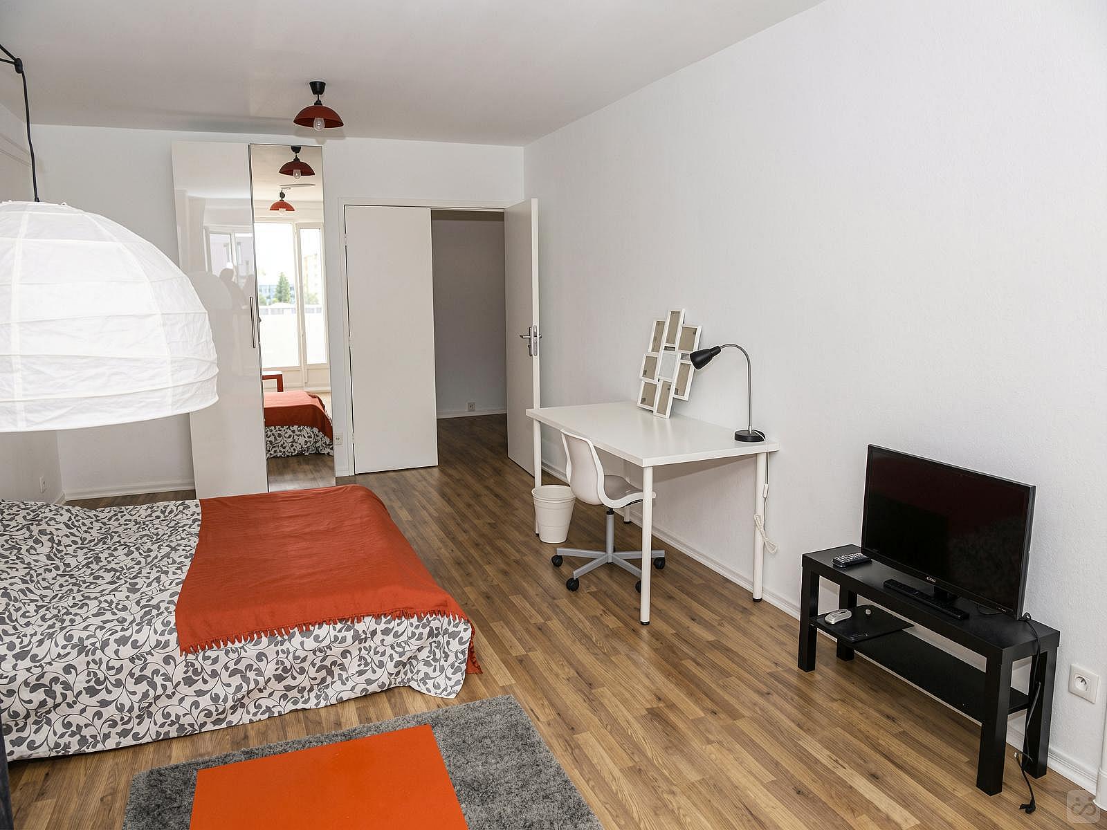  Spacious Luminous Bedroom - 24m² - ST13  -  Large apartment ideally located in the student district of Strasbourg  - Gallery -  11