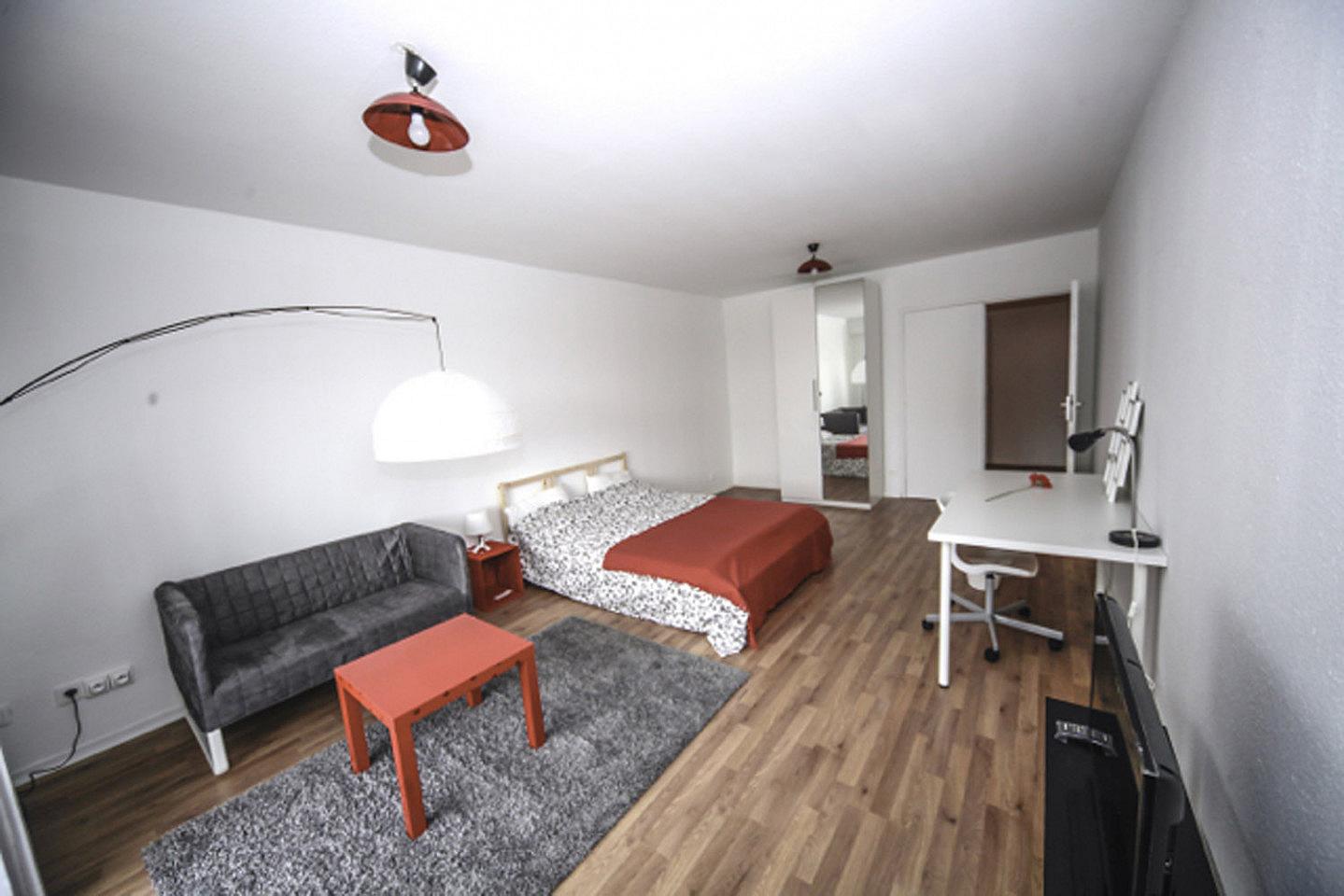  Spacious Luminous Bedroom - 24m² - ST13  -  Large apartment ideally located in the student district of Strasbourg  - Gallery -  6