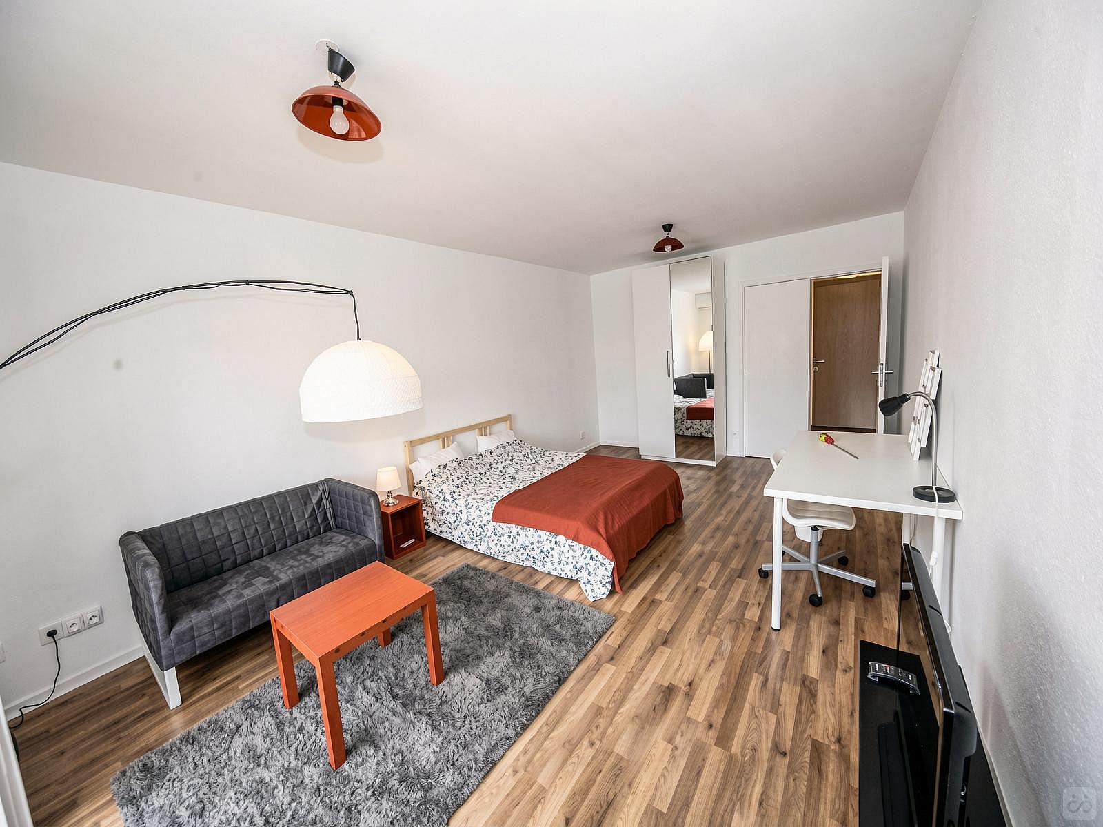  Spacious Luminous Bedroom - 24m² - ST13  -  Large apartment ideally located in the student district of Strasbourg  - Gallery -  10