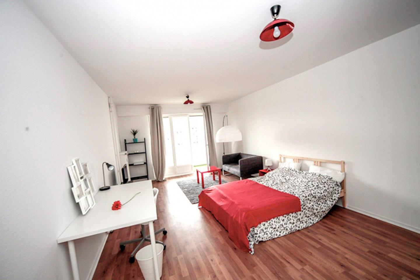  Spacious Luminous Bedroom - 24m² - ST13  -  Large apartment ideally located in the student district of Strasbourg  - Gallery -  15
