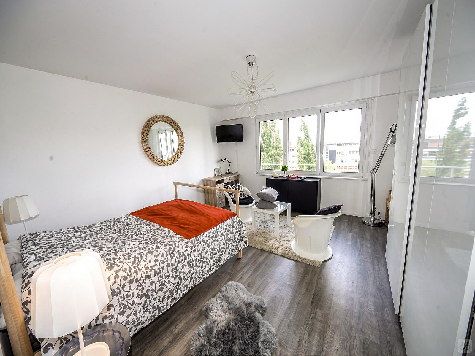  Large Bright Room - 20m² - ST1  -  Apartment equipped and furnished with care located near the Esplanade  - Gallery -  3