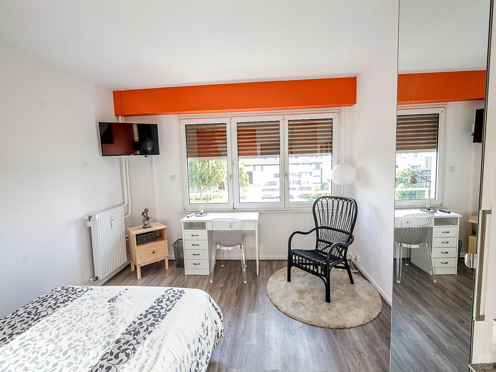  Spacious And Cosy Room - 16m² - ST2  -  Apartment equipped and furnished with care located near the Esplanade  - Gallery -  15
