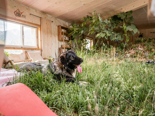 Zaselje Home - Gallery - 25