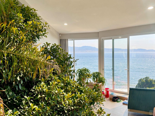 Mimosa Home - Gallery - 30