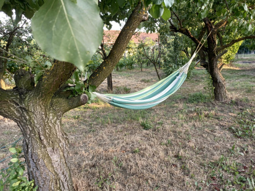 Ive Andrića Home - Gallery - 23