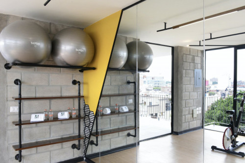 Mexicaltzingo Residence - Gallery - 11