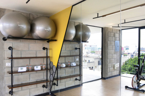 Mexicaltzingo Residence - Gallery - 29
