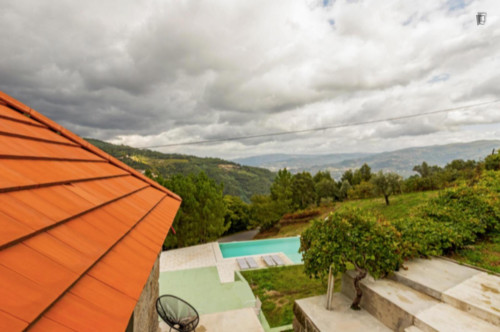Douro Villa - Quinta de Casa Nova Baião - 2 bedroom with outside area and pool