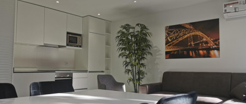 Charming 1-bedroom apartment, with a large outside garden, in Massarelos