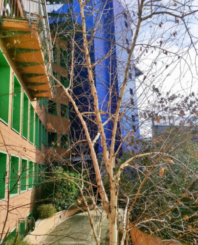 Marvellous 3-bedroom apartment in Morivione - Gallery - 20