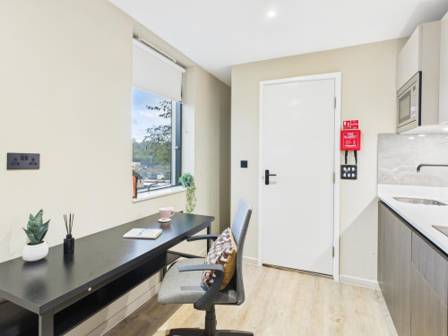 Tribu Kingston - Gallery - 64