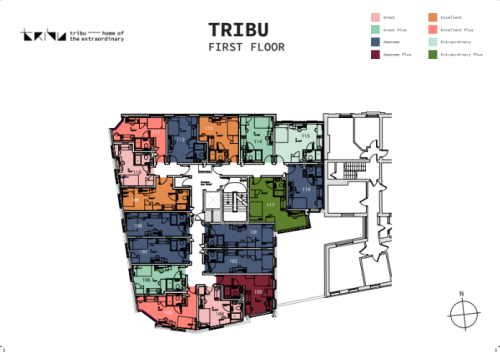 Tribu Kingston - Gallery - 15
