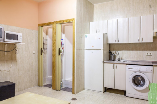 Single bedroom in 5-bedroom flat in Chueca - Gallery - 12