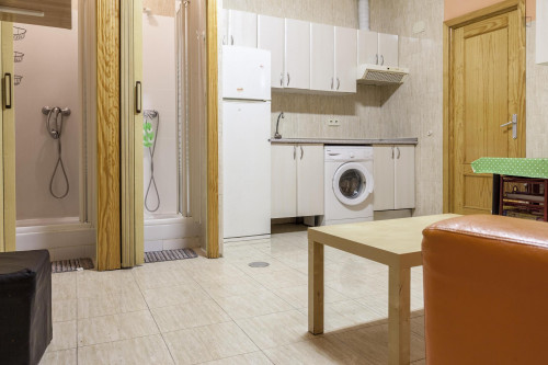 Single bedroom in 5-bedroom flat in Chueca - Gallery - 11