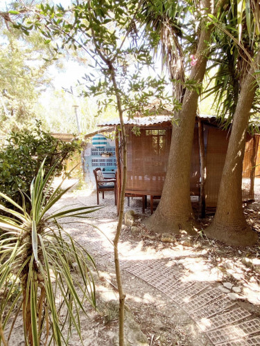 Natural house close to Vejer de la Frontera - Gallery - 9