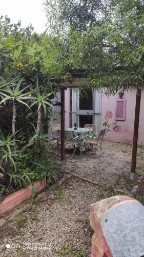 Natural house close to Vejer de la Frontera - Gallery - 9