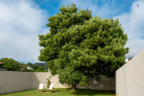 Amazing 3-bedroom House with Garden and Swimming pool in Afife - Gallery - 16