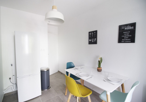 Spacious apartment furnished with care in the center of Grenoble