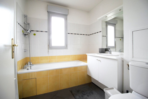 Bright 6 bedroom apartment in the city center of Lyon