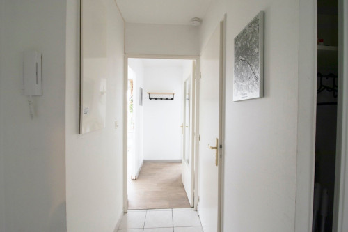 Bright 6 bedroom apartment in the city center of Lyon