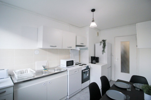 Furnished apartment near the center of Lyon