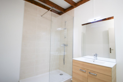 Beautiful apartment located in the old Lyon