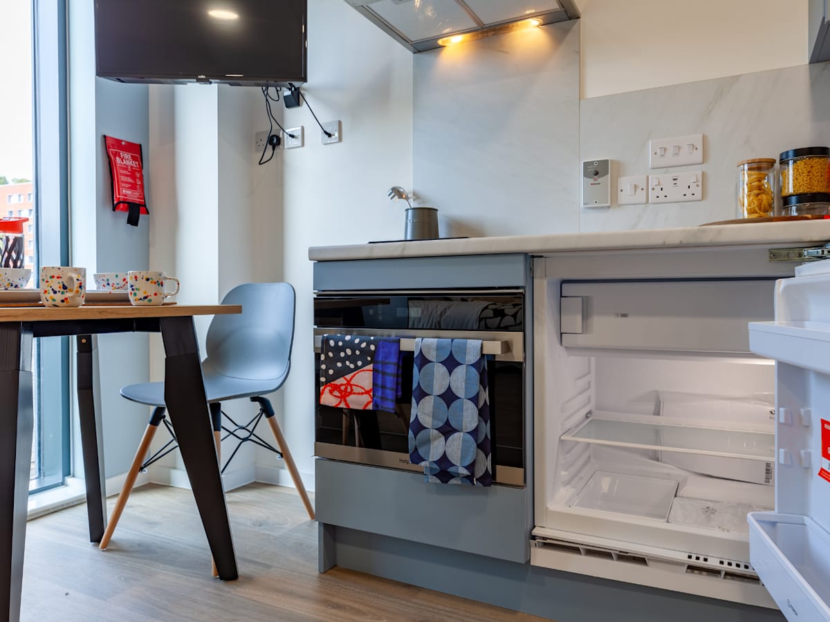  Silver Studio  -  Ty Nant  - Gallery -  3